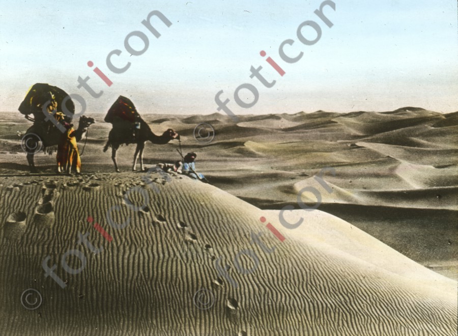 Wüstenlandschaft | Desert landscape (foticon-simon-008-028.jpg)